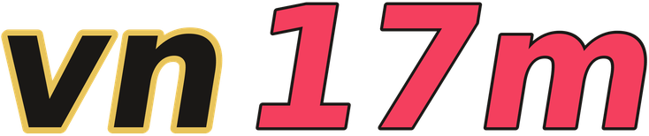 vn17m logo